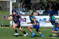 U7(3) R11 v Titans-9