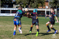 U7(3) R11 v Titans-8