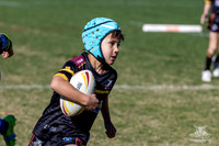 U7(3) R11 v Titans-12