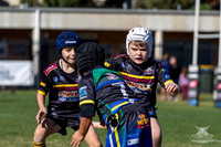 U7(3) R11 v Titans-16