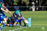 U7(3) R11 v Titans-14