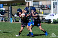 U7(3) R11 v Titans-15