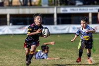 U6(3) R11 v Rouse Hill-2