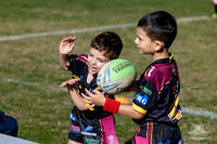 U6(3) R11 v Rouse Hill-1