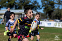 U6(3) R11 v Rouse Hill-5