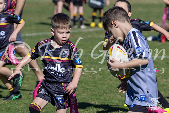 U6(1) R11 v Rouse Hill-14