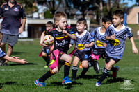 U6(1) R11 v Rouse Hill-19