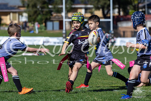 U6(1) R11 v Rouse Hill-26