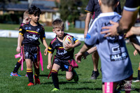 U6(1) R11 v Rouse Hill-27