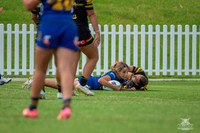 LFC - R6 - Eels v Panthers_9