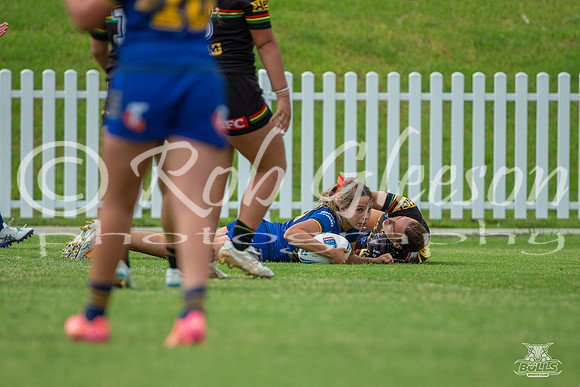 LFC - R6 - Eels v Panthers_9