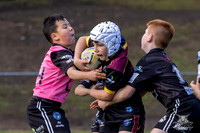 U9(2) R12 v Wenty-10