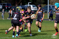 U9(2) R12 v Wenty-16