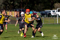 U9(2) R12 v Wenty-19