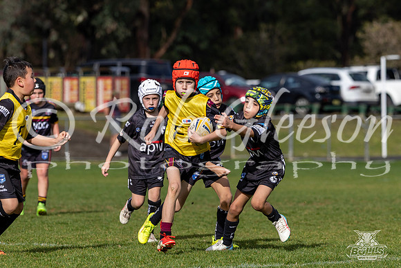 U9(2) R12 v Wenty-19