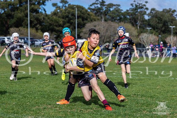 U9(2) R12 v Wenty-20