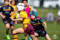 U10(1) R12 v Guildford-8