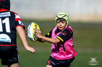 U11(2) R12 v Austral-3