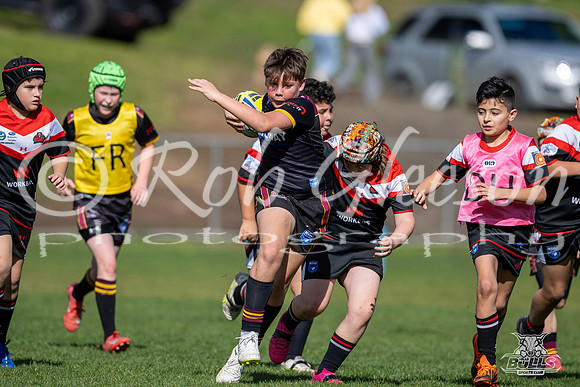 U11(2) R12 v Austral-12
