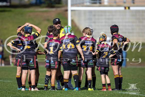 U11(2) R12 v Austral-8
