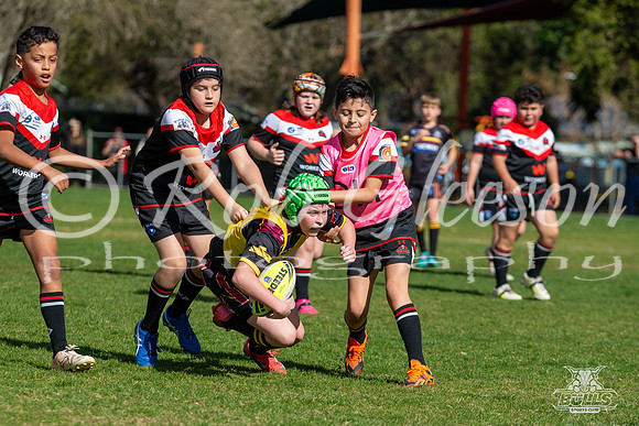 U11(2) R12 v Austral-17