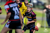 U11(2) - Micway