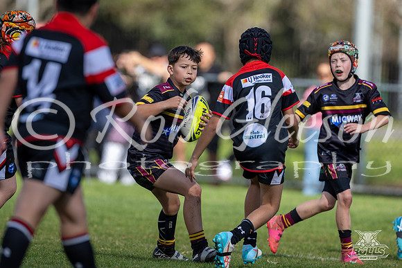 U11(2) R12 v Austral-21