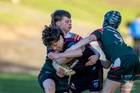 U15(2) R12 v Greystanes-1
