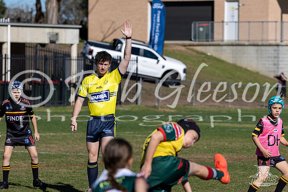 U9(2) R11 v Greystanes-39