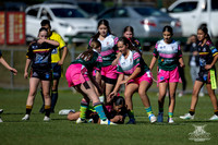 TU14(SB) R13 v Greystanes-12
