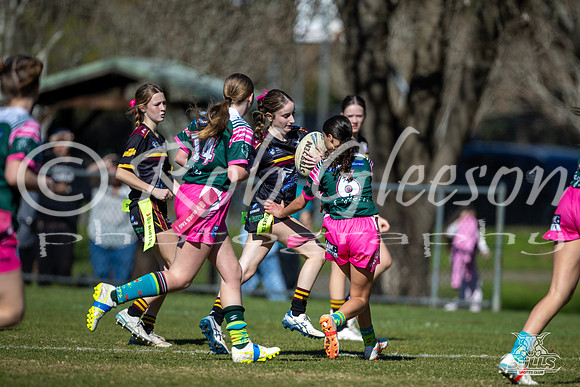 TU14(SB) R13 v Greystanes-14
