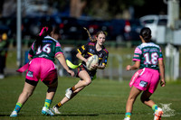 TU14(SB) R13 v Greystanes-16