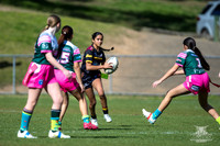 TU14(SB) R13 v Greystanes-26