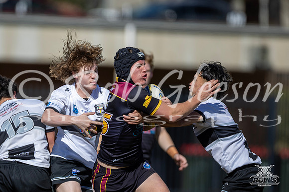 U17(1) R13 v Cronulla-15