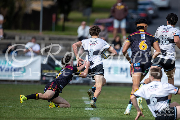 U17(1) R13 v Cronulla-29