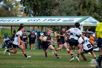 U17(1) R13 v Cronulla-37