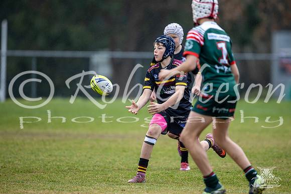 U12(1) R14 v Greystanes-1
