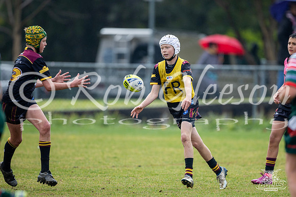 U12(1) R14 v Greystanes-8