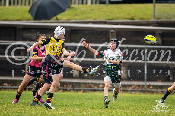 U12(1) R14 v Greystanes-12
