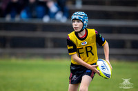 U12(3) R14 v Austral-5