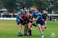 U13(1) R14 v Cabramatta-24