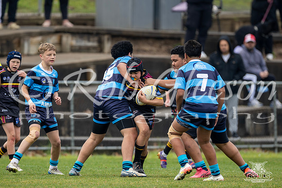 U13(1) R14 v Cabramatta-31