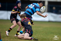U13(1) R14 v Cabramatta-29