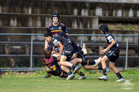 U14(1) R14 v Wenty-17