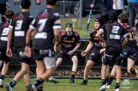 U14(1) R14 v Wenty-16