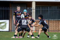 U14(1) R14 v Wenty-19