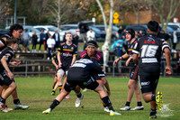 U14(1) R14 v Wenty-29