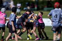 U11(1) R15 v Rouse Hill-3