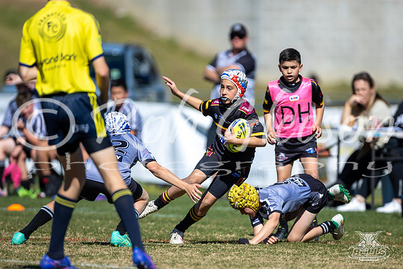 U11(1) R15 v Rouse Hill-17