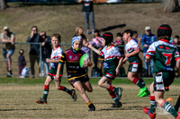 U8(3) R7 - Vs Greystanes_016